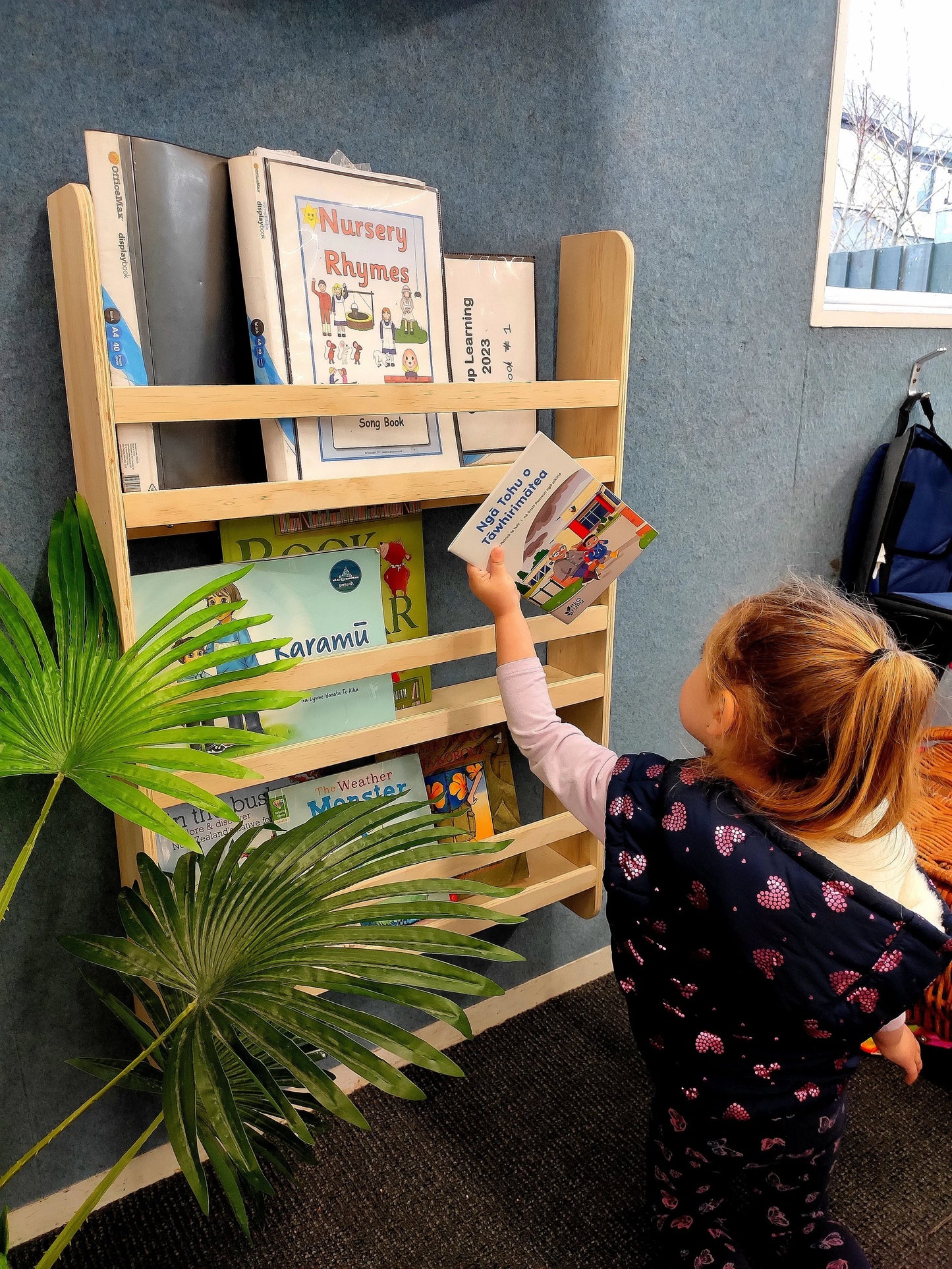 Montessori Bookshelf