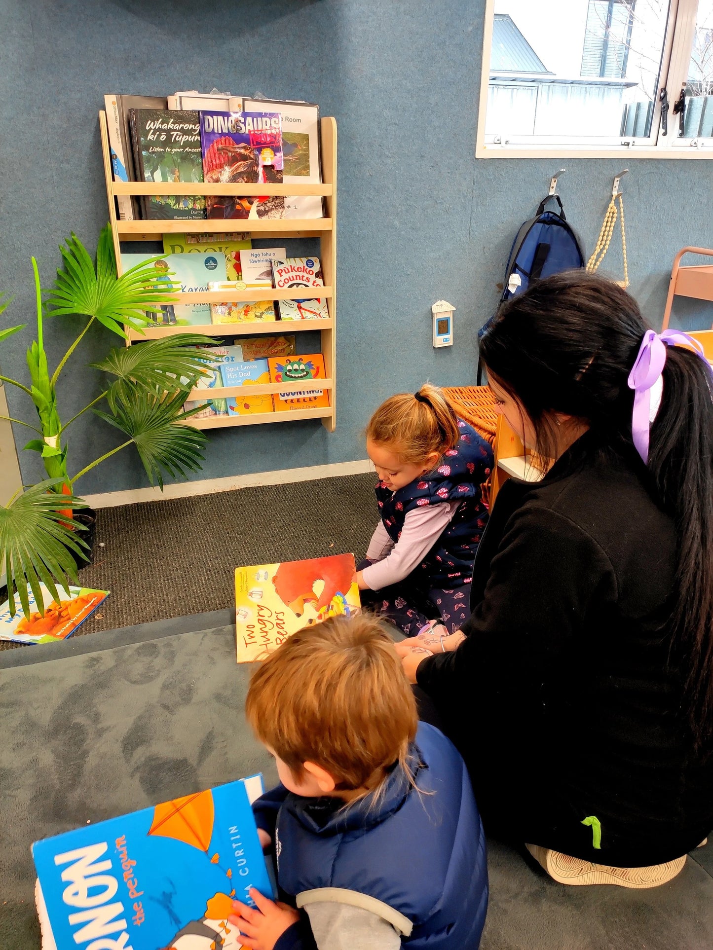 Montessori Bookshelf